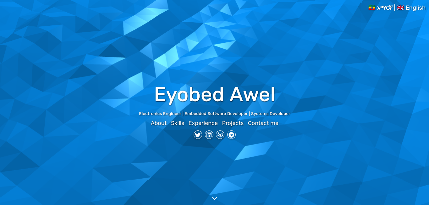 This Portfolio Website